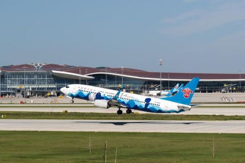 新航季南航哈爾濱至北京航班全面轉場大興機場，民用機場運營格局再優(yōu)化